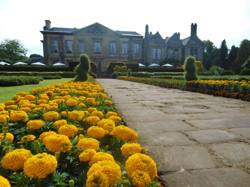 Coombe Abbey