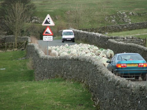 Rush hour in the peak