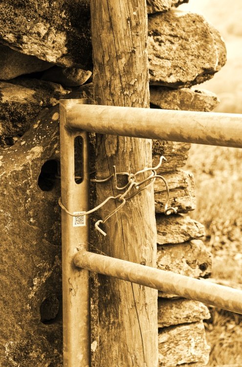 Make-do gate security