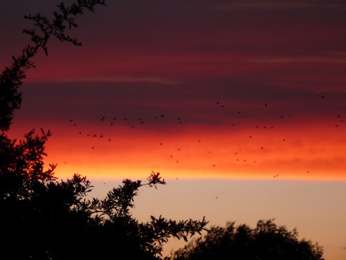 Sunset over Watermead Country Park