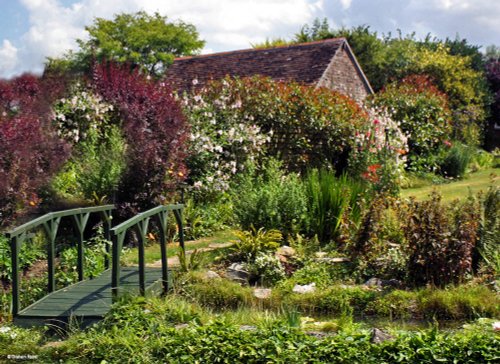 A Dorset Garden, Shillingstone.