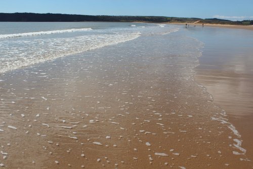 Golden sands of Freshwater