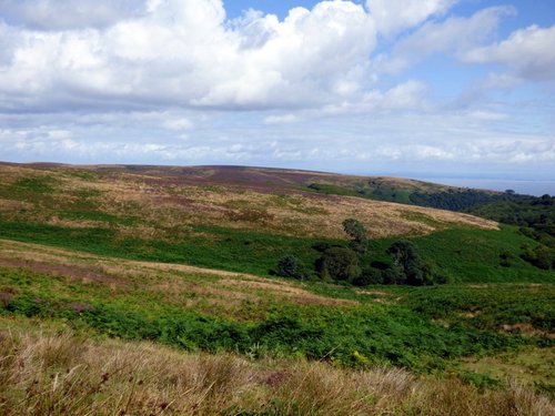 Quantock Hills