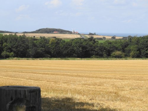 Sheringham Park in Sheringham