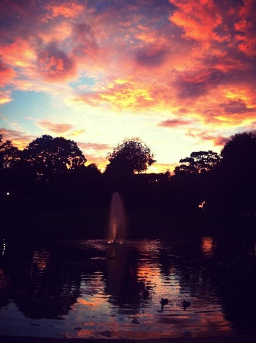 Stewarts Park in Middlesbrough at Sunset by Lewy