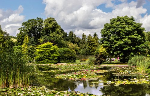 Lakes and Lilies Burnby Hall