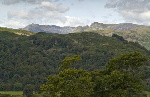 Lanty Scar and the Langdale Pikes
