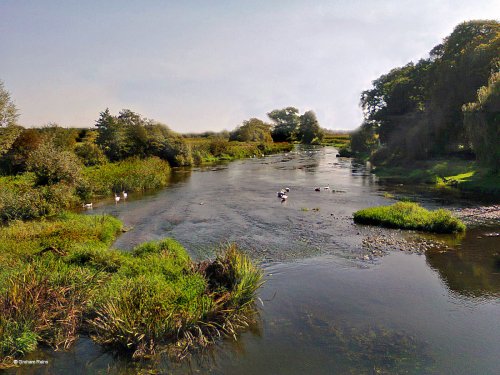 Stour Valley Summer, Spetisbury.
