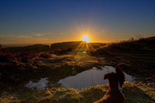Bradgate park
