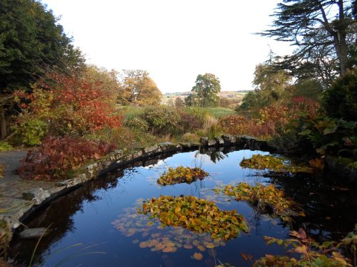 Hergest Croft, Kington