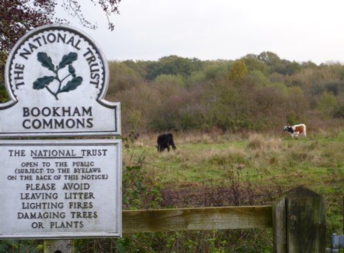 Bookham Common