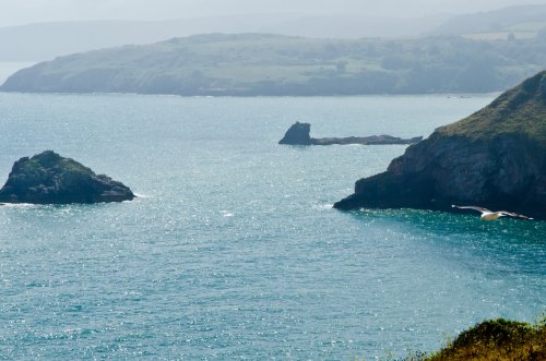 Berry Head, Devon