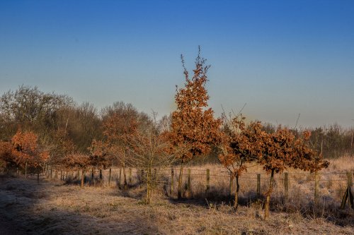 Ryton pools country park