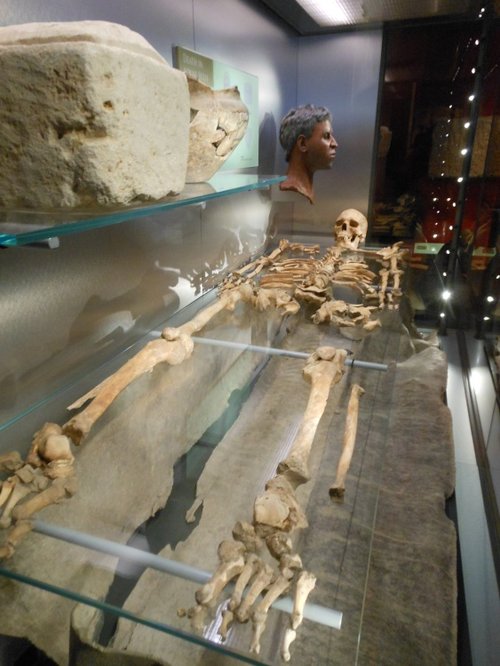 Skeleton, Roman Baths, Bath