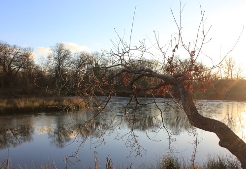 Reach For The Island