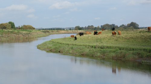 Salter's Lode, near Downham Market, Middle Level Navigations