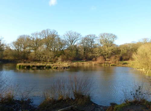 Isle of Wight Pond From The Other Side