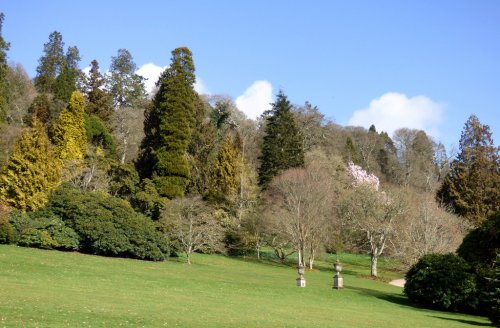 Killerton House