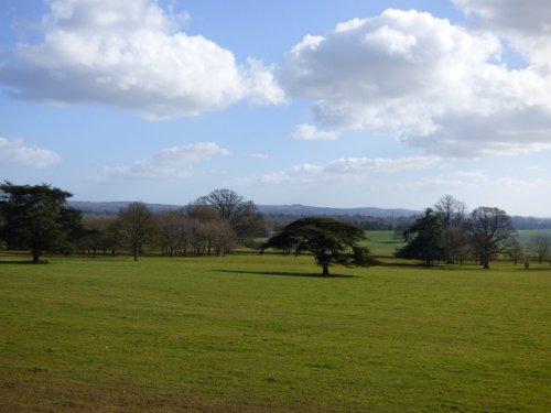 killerton House
