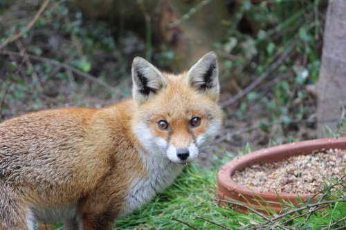 CAN I HAVE SOME MORE PLEASE ?