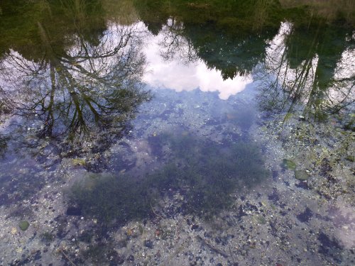 Clarity and Reflections