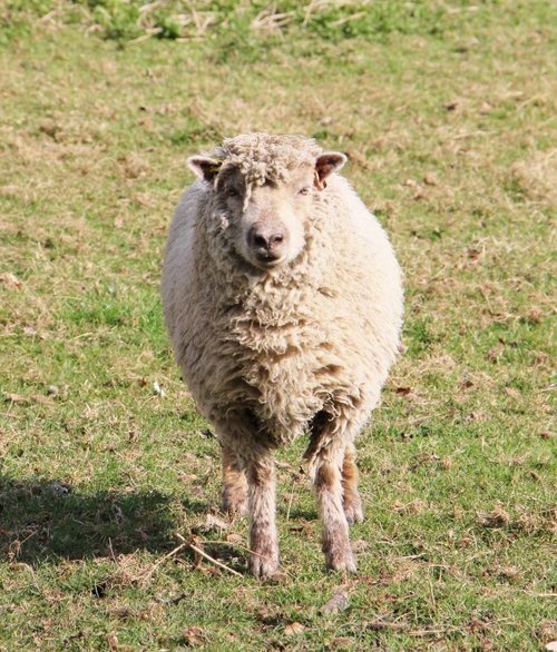 Watching You Watching Me