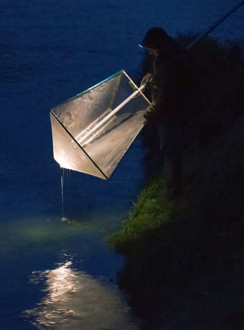 Elvering River Wye, Brockweir.
