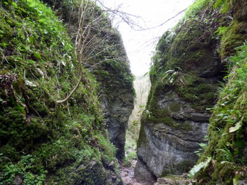 Ebbor Gorge