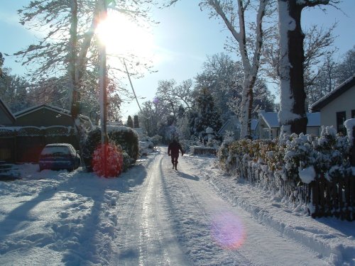 Winters Day, Warfield