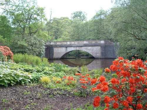 Savill Gardens, Bridge