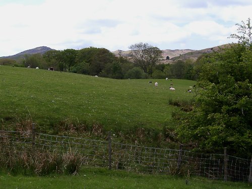 Cumbrian Landscape near Torver