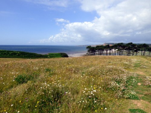 Budleigh Salterton