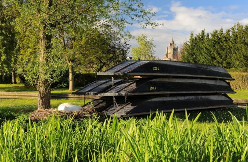 Views along the River Cam - Cambridge
