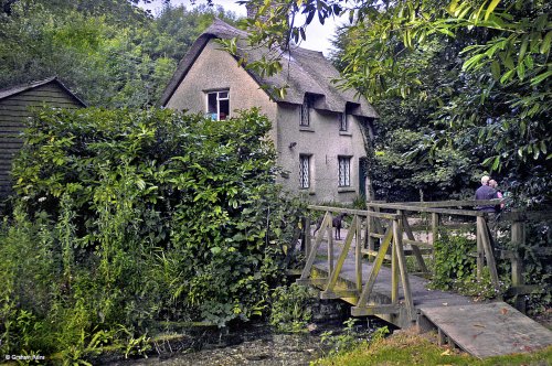 Littlebredy, Dorset.
