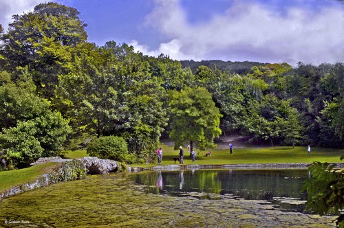 Littlebredy, Dorset.