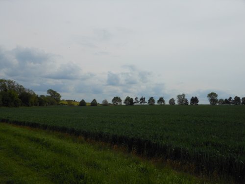 Fields around Wollaston, Northamptonshire