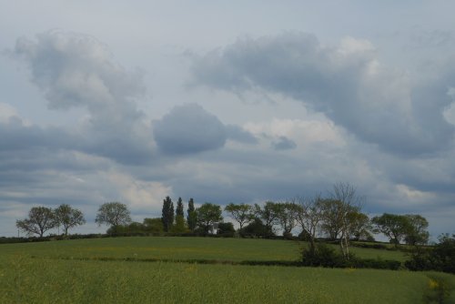 Fields around Wollaston, Northamptonshire