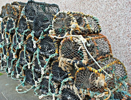 Lobster pots