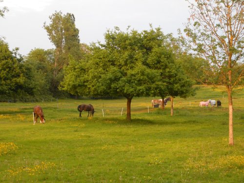Wollaston, Northamptonshire