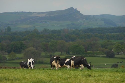 Winking Man, Leek, Staffordshire
