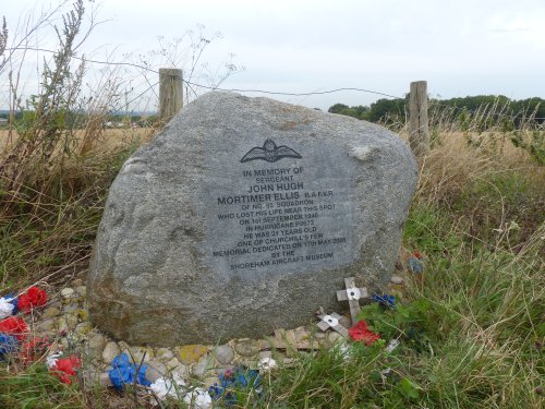 A Memorial To 'One of The Few'