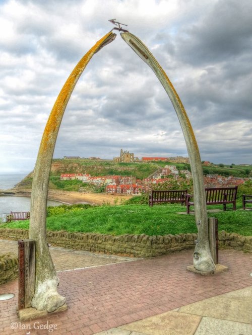 Whitby Whalebones