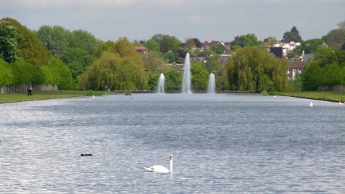 Jubilee Fountains