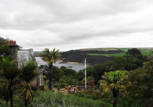 Overbecks Gardens Salcombe