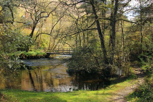 Pastoral landscape  at Loch Ard