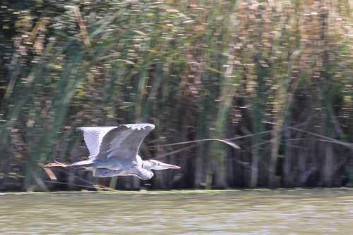 A Straight and Level Flight