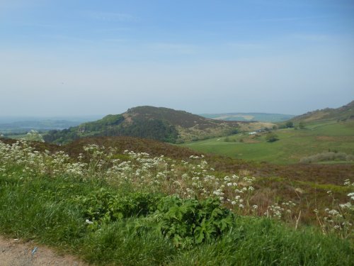 View from Winking Man, near Leek, Staffordshire
