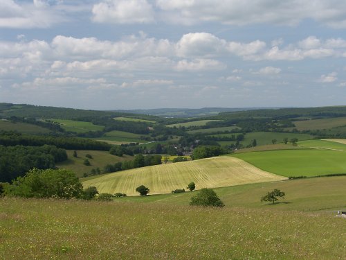 View of the South downs