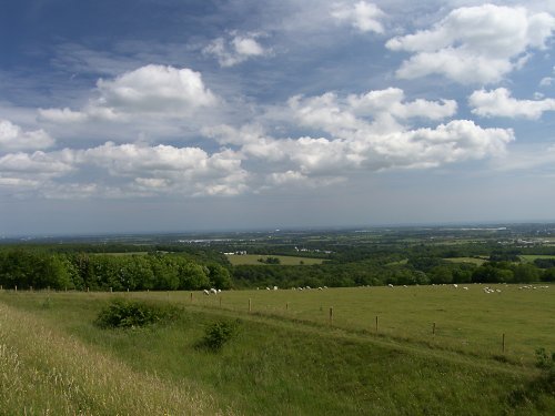 The South Downs of West Sussex