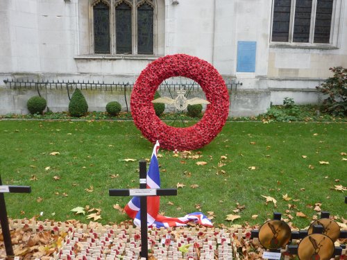 Field of Remembrance 11th November 2015